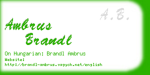 ambrus brandl business card
